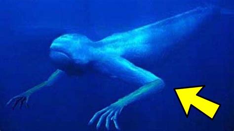 3 Creepy Deep Sea Creatures | Real sea monsters, Weird creatures, Deep ...