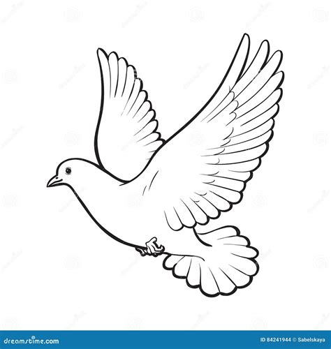 Free Flying White Dove, Isolated Sketch Style Illustration Stock Vector ...