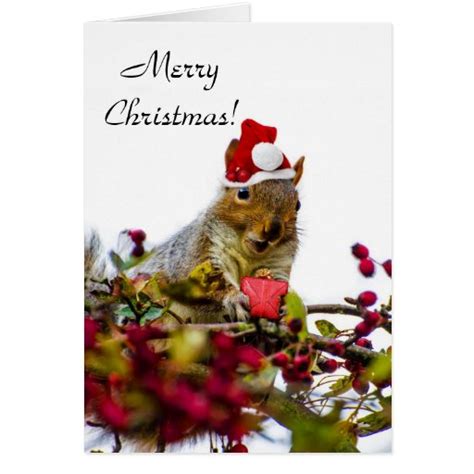 Christmas Squirrel Card | Zazzle