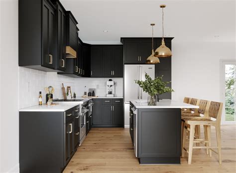 True Black Shaker Kitchen Cabinets