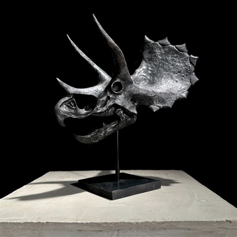 sculptuur, - NO RESERVE PRICE - Replica of Dinosaur Skull -Triceratops ...