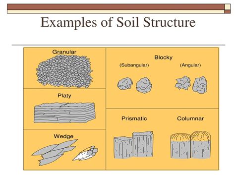 PPT - Soil Types and Textures PowerPoint Presentation, free download ...