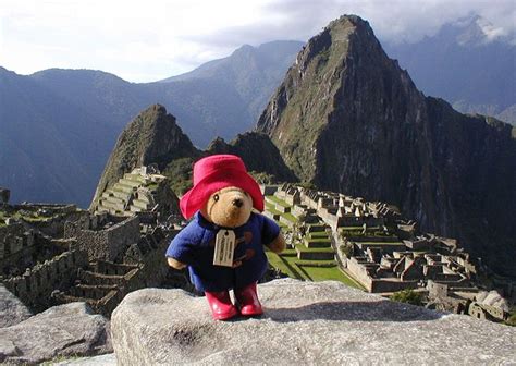 Paddington Bear from darkest Peru ♥ | Paddington bear, Bear, Peru