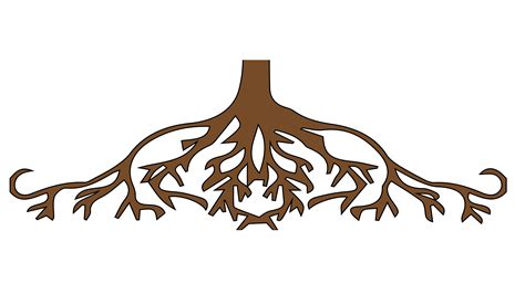 Cartoon Tree Roots - Tree With Roots Png | Bodenowasude