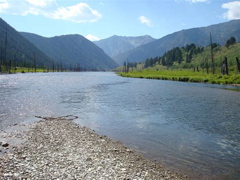 Madison River: Montana, Yellowstone National Park | CzechNymph.cz