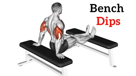 Bench Dips: How To Do, Muscle Worked And Form, 43% OFF