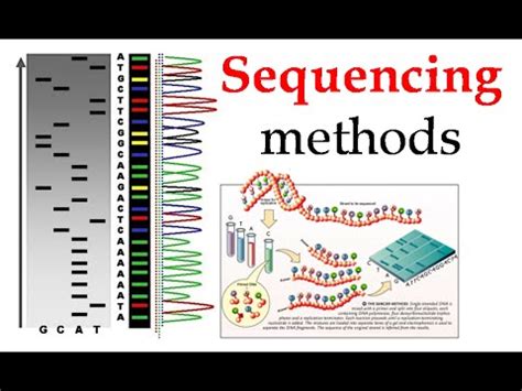 DNA sequencing methods - YouTube