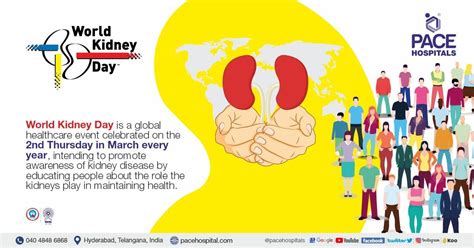 World Kidney Day 9 March, 2023 | Theme and Importance