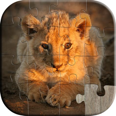 Cute Animal Puzzles for Kids - Fun and Educational Jigsaw Puzzle Game ...