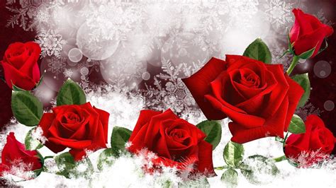 Winter Flower Wallpapers - Wallpaper Cave