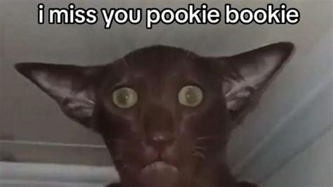 What Does 'Pookie' Mean? TikTok's Viral Term Of Endearment Explained ...