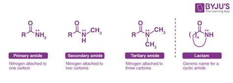 Amido and Amide - What is an Amide and Amido, Synthesis of Amides ...