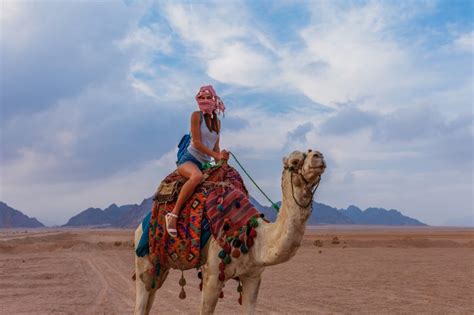 Sinai Desert Stargazing & Camel Ride Tour - Tourist Journey