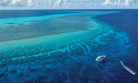 Tubbataha Reefs: Dive Into The Surreal Waters Of This UNESCO World ...