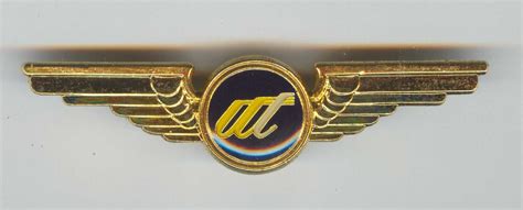 Pilot wings badge | Badge, Biker logo, Wings