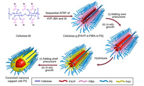 Uniform 'hairy' nanorods have potential energy, biomedical applications