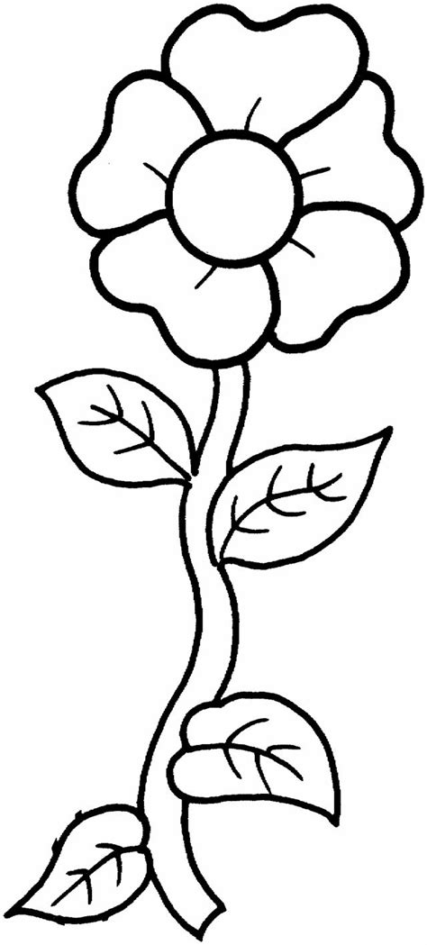 template A single flower | Printable flower coloring pages, Flower ...