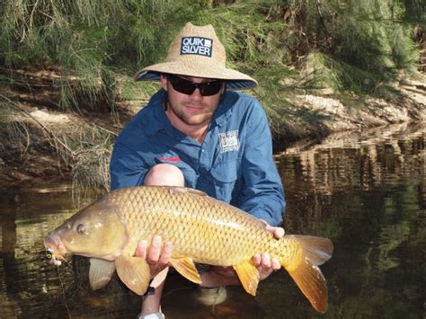 Carp: the Australian story - Fishing World Australia