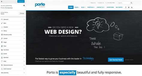 Theme Options - Porto Documentation