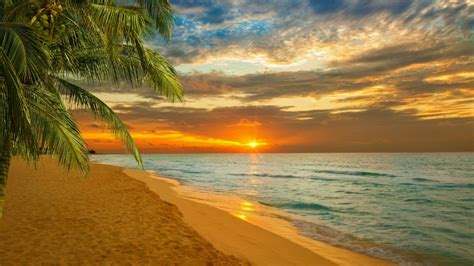 Sunset, sea, summer, palm, sky, tropics, caribbean, paradise wallpaper ...