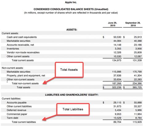 Shareholders Equity (Definition, Equation, Ratios, Examples)