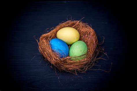 Easter Eggs In Nest Pictures, Photos, and Images for Facebook, Tumblr ...