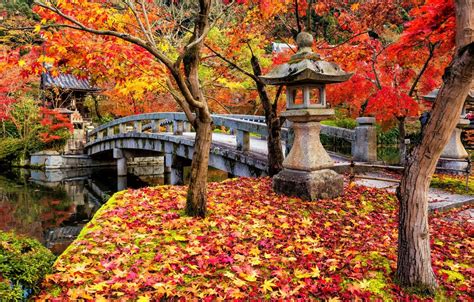 Japanese Autumn Wallpapers - Top Free Japanese Autumn Backgrounds ...