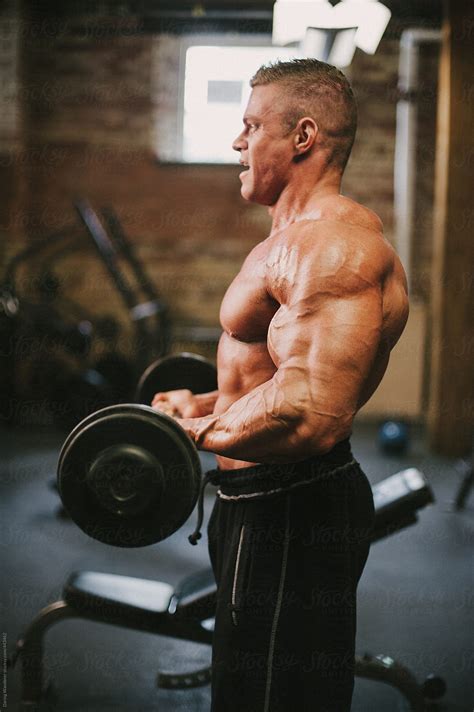 "Male Bodybuilder Lifting Weights In Gym" by Stocksy Contributor "Jess ...