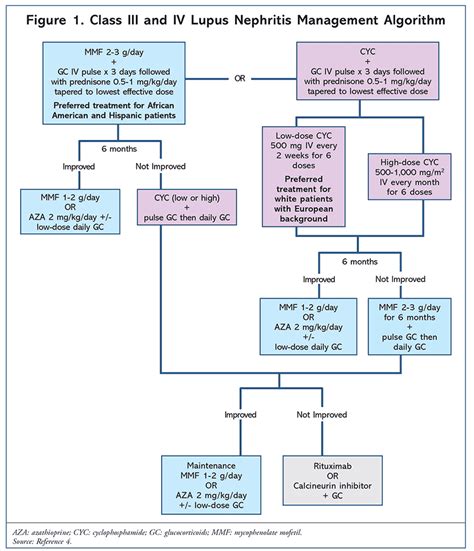 Systemic Lupus Erythematosus, Its Treatment, and Future Directions