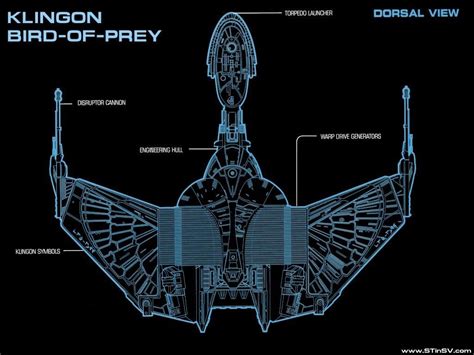 Schematic: Klingon Bird of Prey | Star trek klingon, Star trek ...