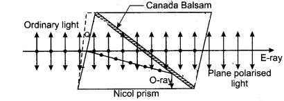 RBSE Solutions For Class 12 Physics Chapter 12: Nature of Light