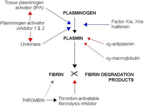 Thrombolytics - Hematology - Medbullets Step 1