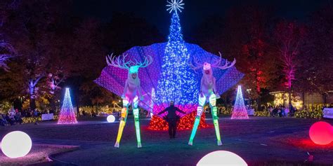 Bronx Zoo Holiday Lights 2024 | Everything you need to know! [UDPATE]