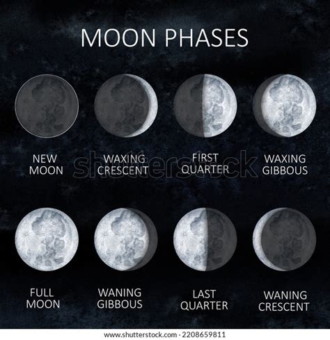 Moon Phases On Sky Dark Background Stock Illustration 2208659811 ...