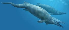 The Life of Animals: Basilosaurus