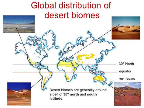 Desert Biomes