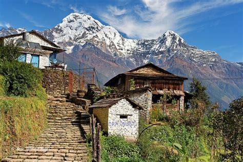 Ghandruk Trek From Pokhara | The Tibetan Encounter