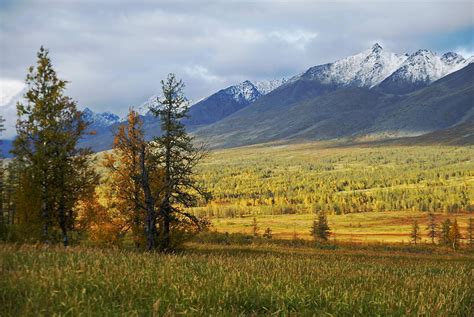 Twice As Much Snow Falling In The Russian Ural Mountains Than 100 Years ...