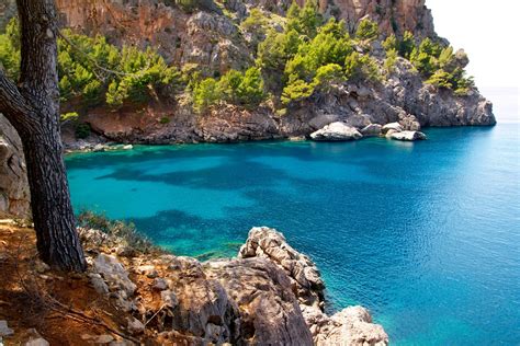 Vakantie Cabo Blanco - Zonvakantie op Mallorca | TUI