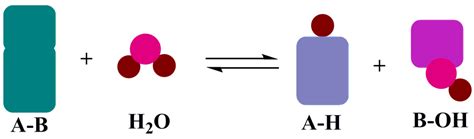 Hydrolase Introduction - Creative Enzymes