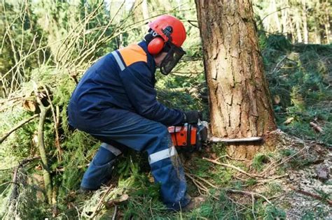 How To Size Chainsaw Chaps And Get The Best Fitting?