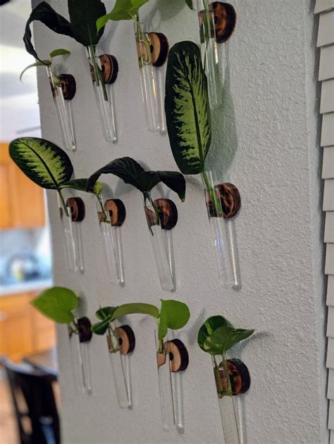 DIY Plant Wall | Plant wall, Diy plants, Decor