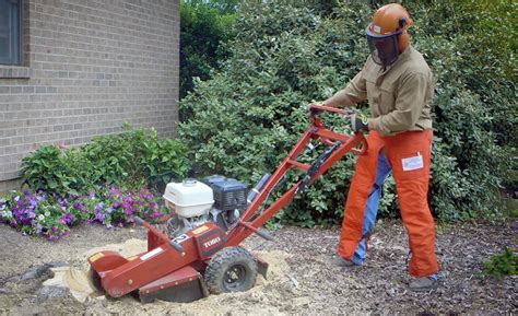 Equipment Needed For Tree Stump Removal - London Groove Machine