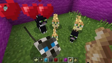 Minecraft: How to tame a cat - YouTube