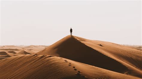 Wallpaper silhouette, desert, sand hd, picture, image