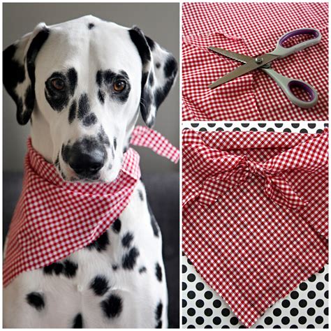 Dalmatian DIY: Easy No-Sew Pet Bandana