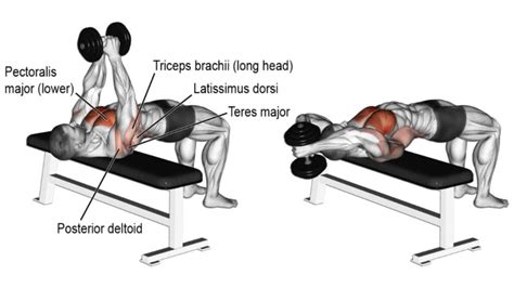 Lower Chest Dumbbell Exercises to Build Muscle & Definition