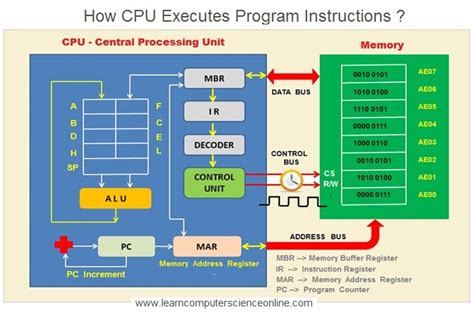 What Is Control Unit ? | Control Unit Functions , Definition , Working