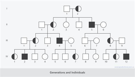 20 Generation Pedigree Chart