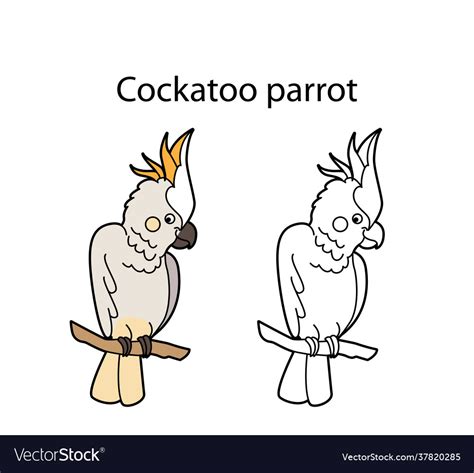 Funny cute bird cockatoo parrot isolated on white Vector Image